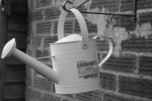 My watering can (again!)